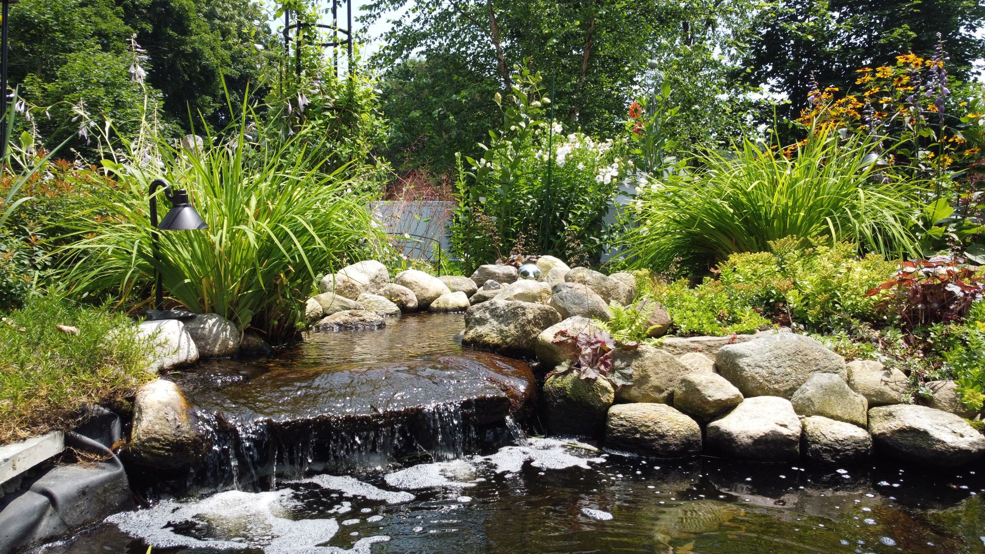 Arnold Ave project; Koi pond with waterfall, stones, grass, and other landscaped foliage